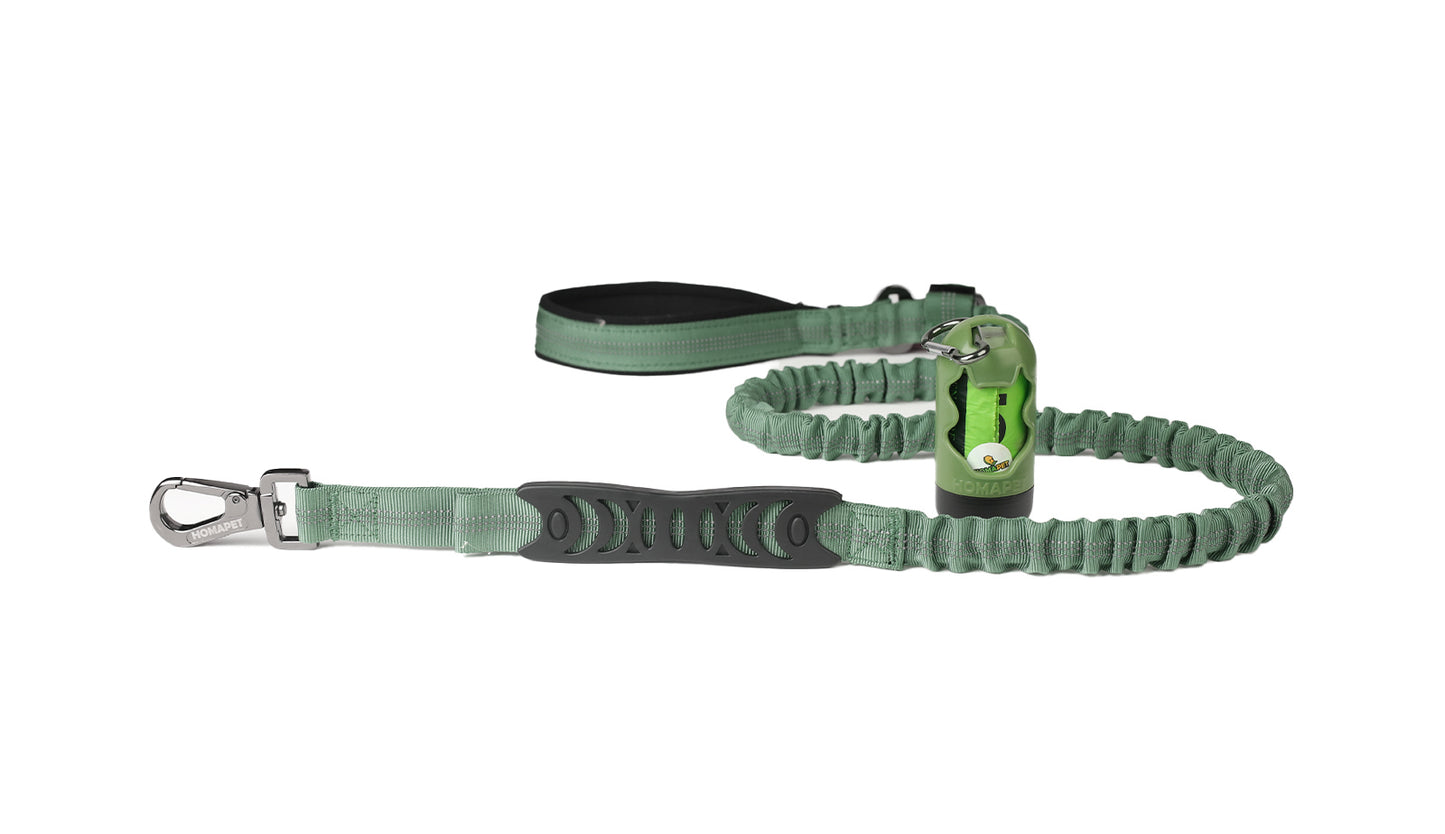 Olive Green Nylon Full Bungee Dog Leash