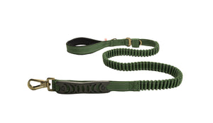 Poly Green Polyester Full Bungee Dog Leash
