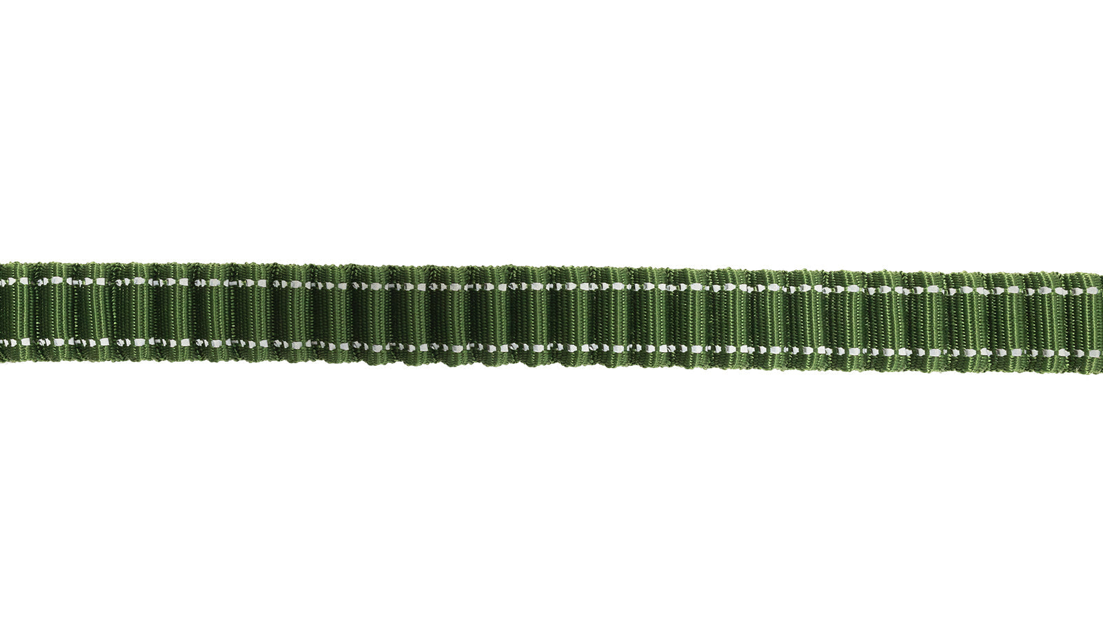 Poly Green Polyester Full Bungee Dog Leash