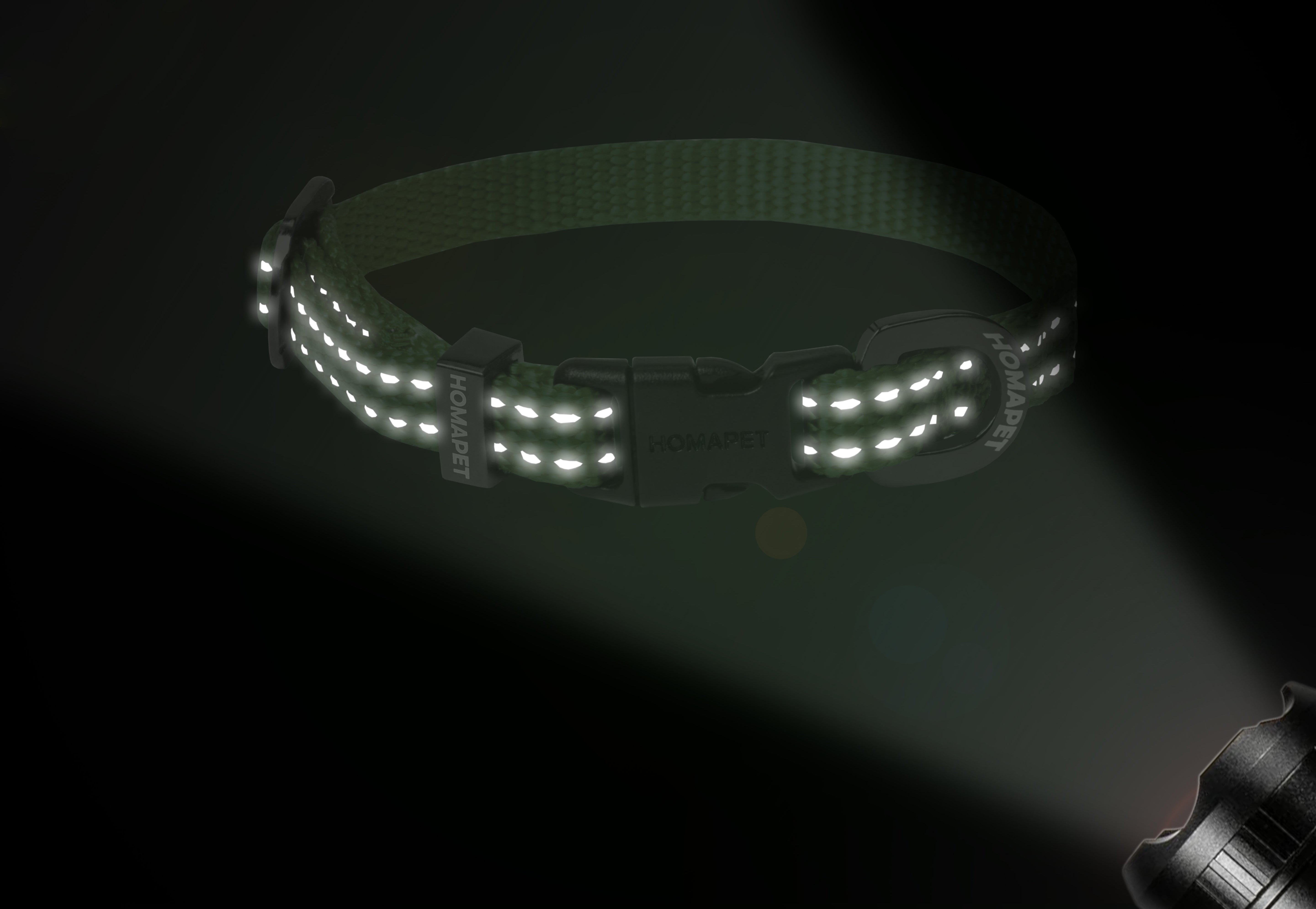 Olive Green Nylon Dog Collar XS