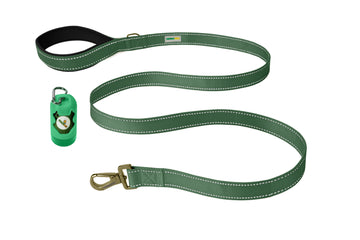 Olive Green Nylon Dog Leash