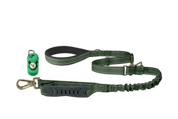 Olive Green Nylon Adjustable Bungee Dog Leash