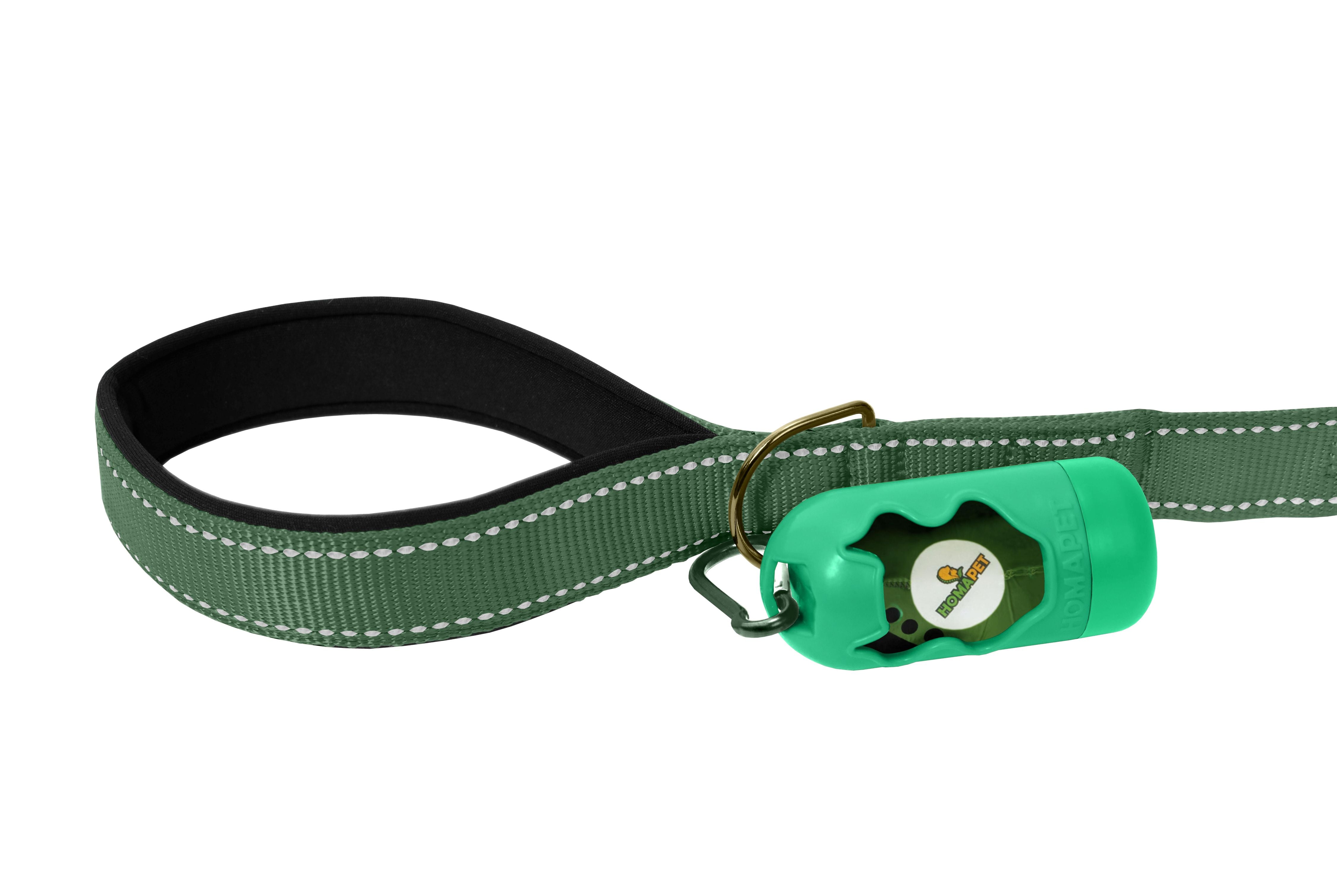 Olive Green Nylon Dog Leash