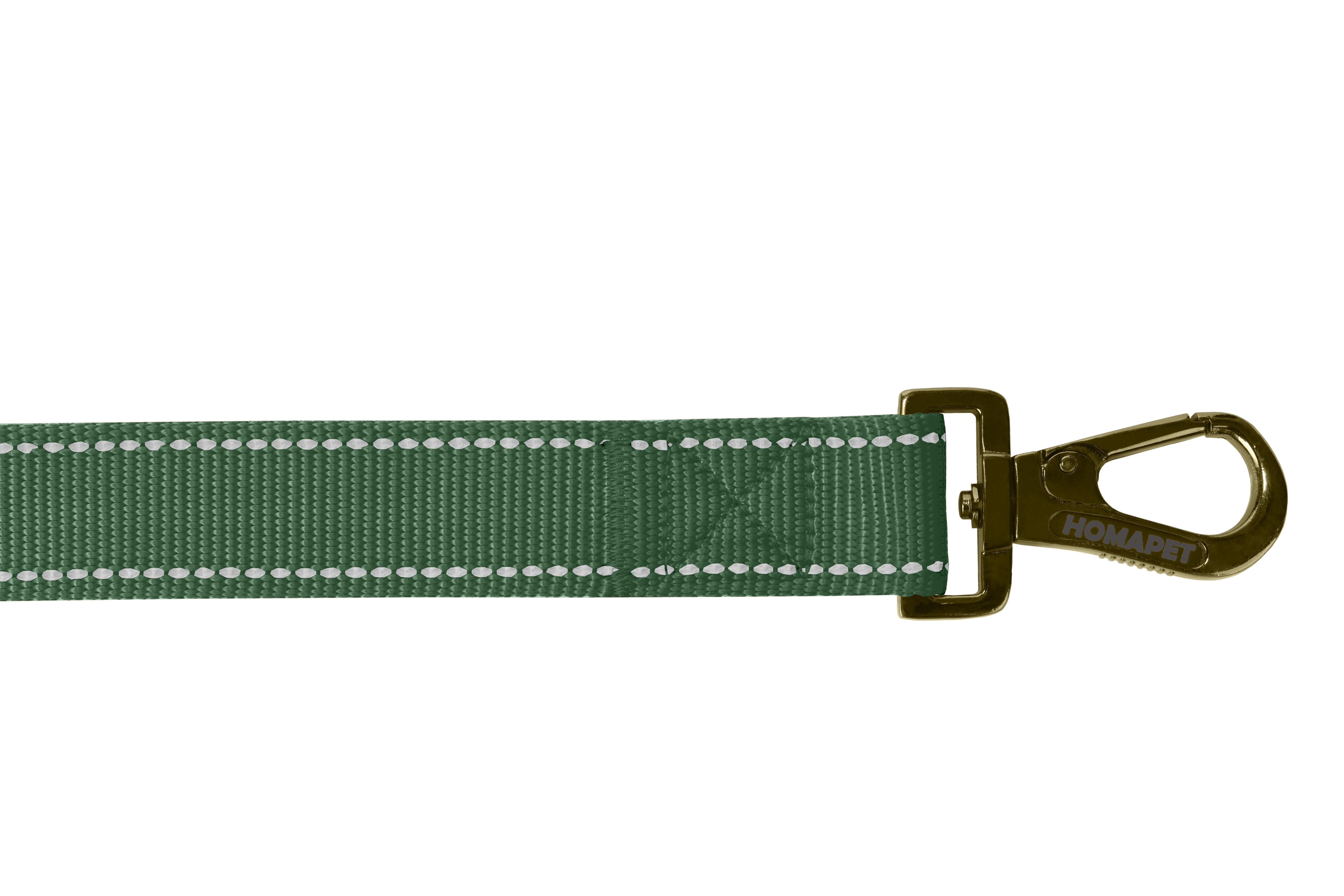 Olive Green Nylon Dog Leash
