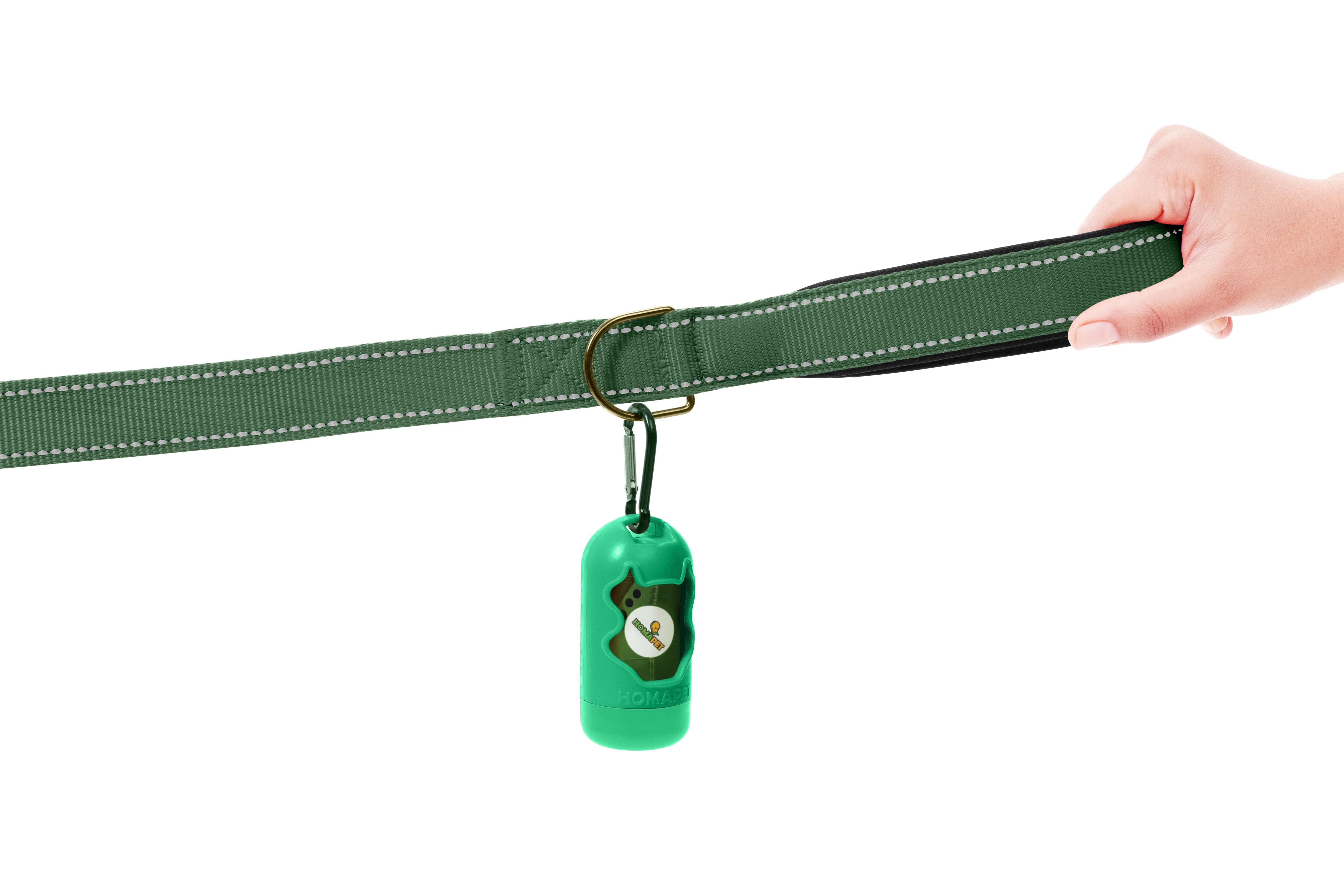 Olive Green Nylon Dog Leash