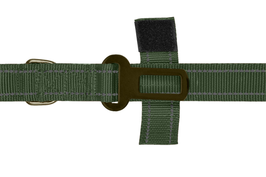 Olive Green Polyester Full Bungee Dog Leash