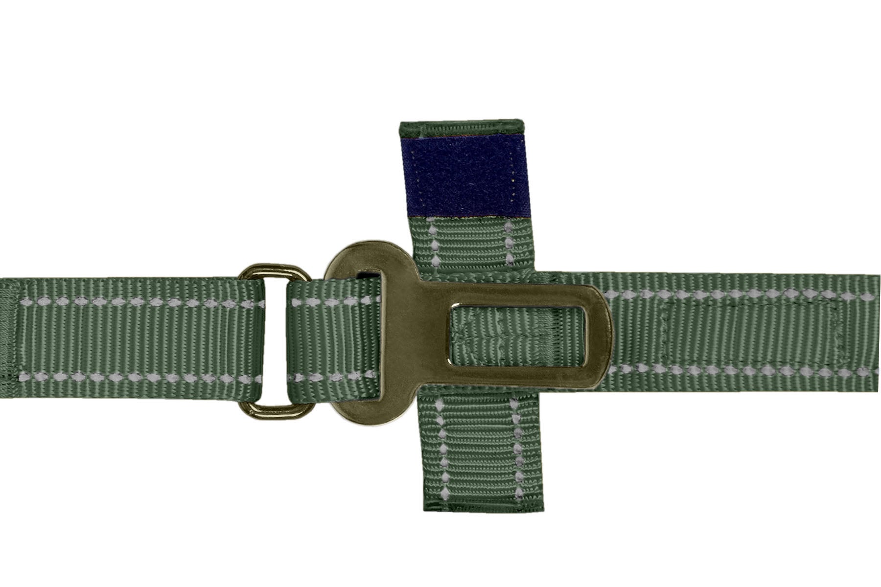 Olive Green Nylon Adjustable Bungee Dog Leash
