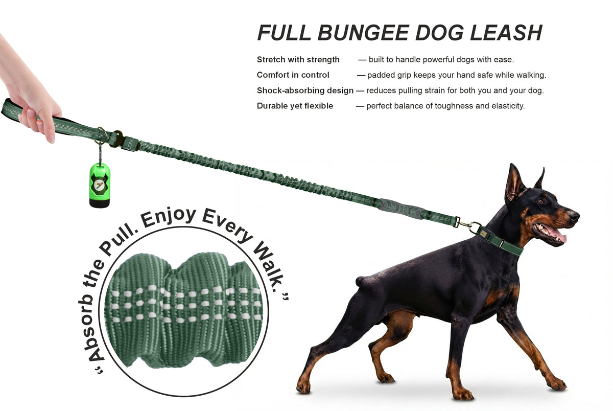 Olive Green Nylon Full Bungee Dog Leash