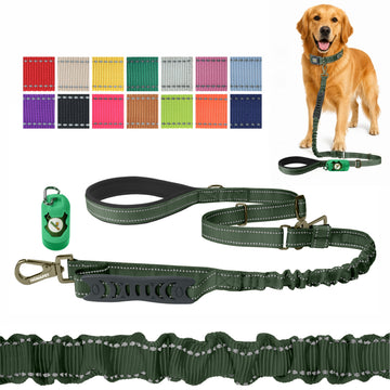 Olive Green Nylon Adjustable Bungee Dog Leash
