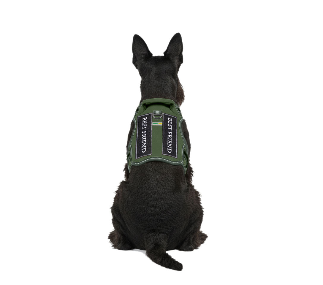 Olive Green Tactical Dog Harness