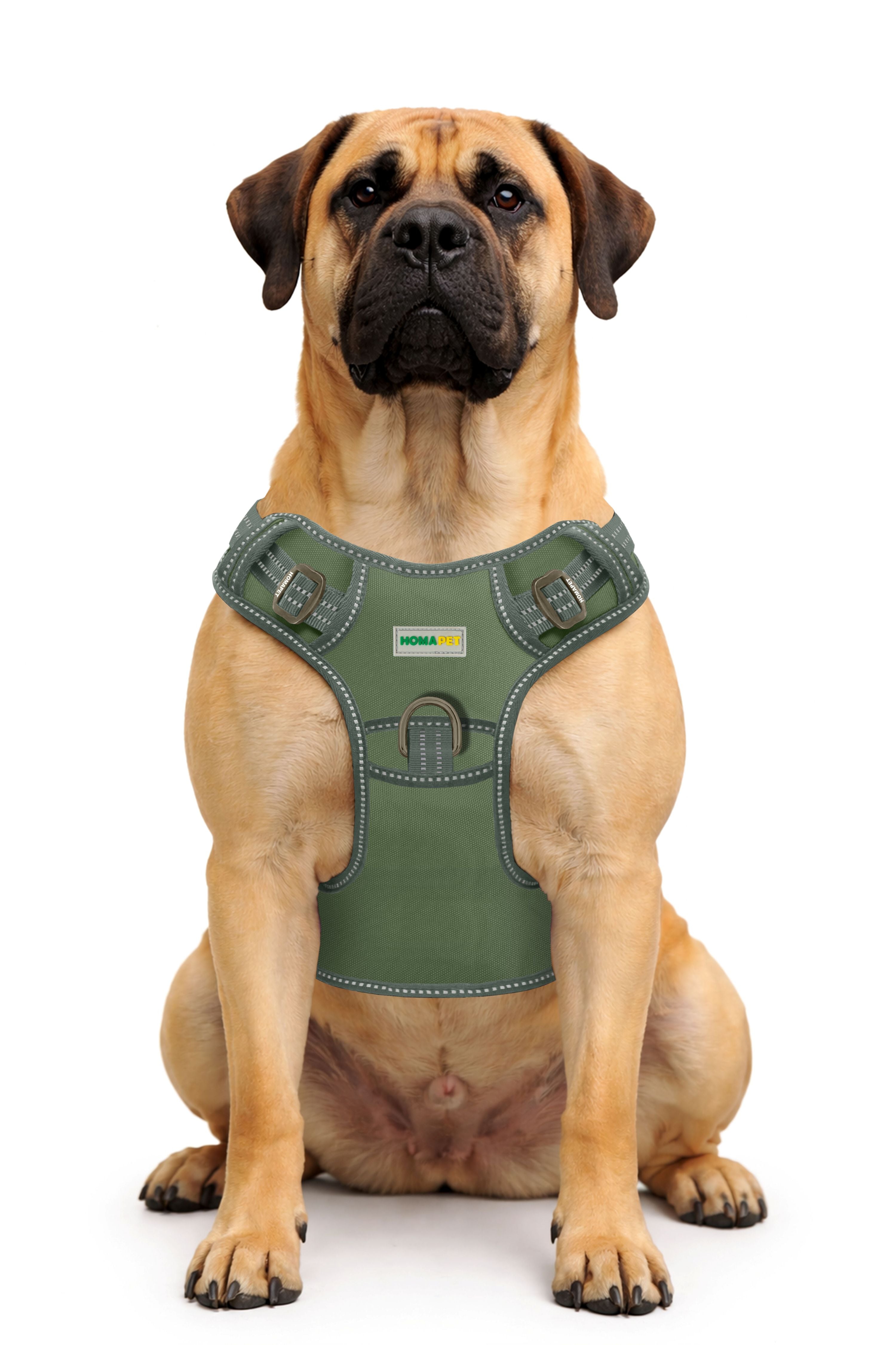 Olive Green Tactical Dog Harness
