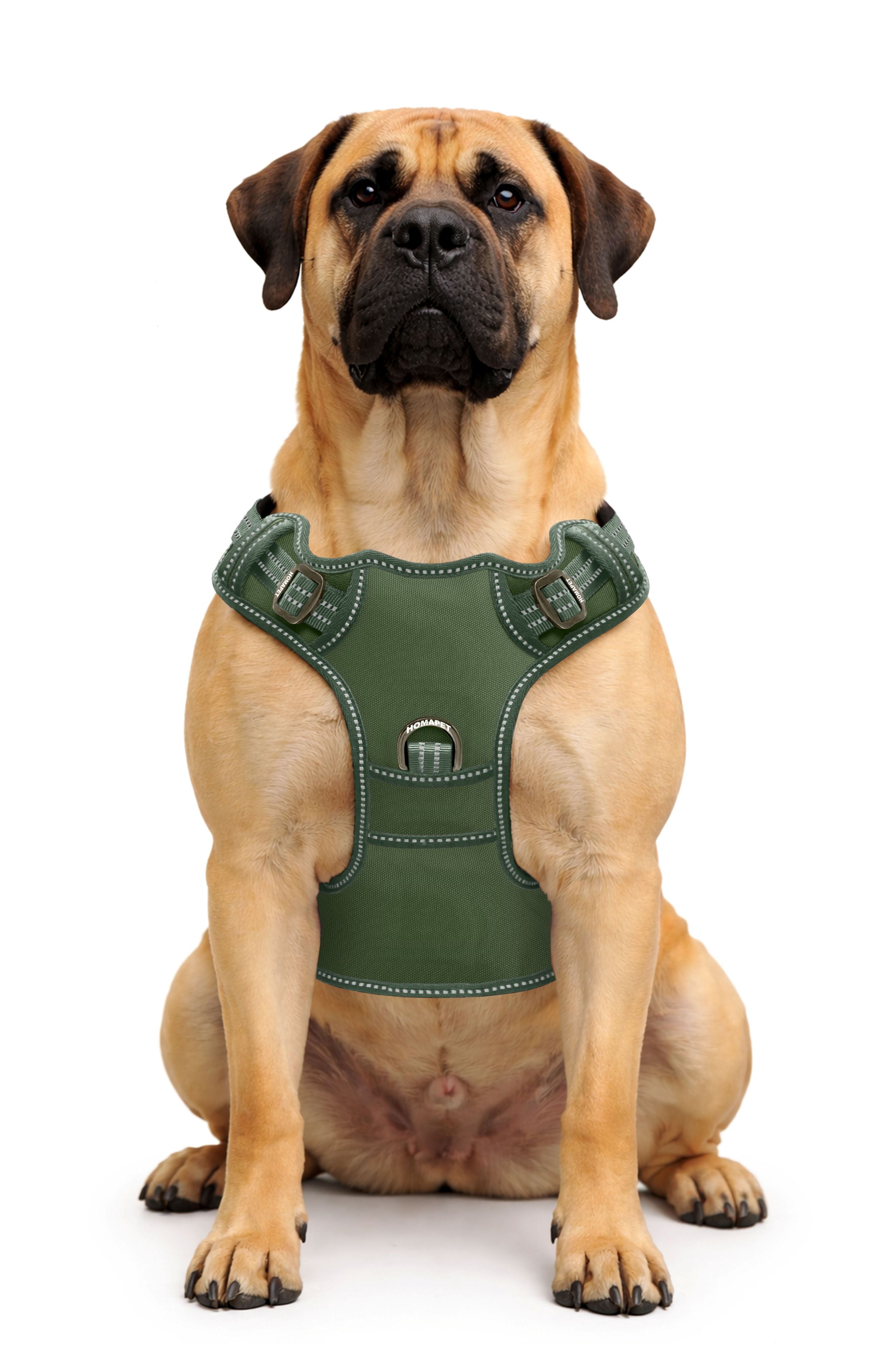 Olive Green No Pull Dog Harness
