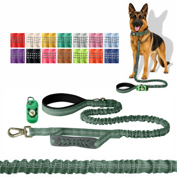 Olive Green Nylon Full Bungee Dog Leash