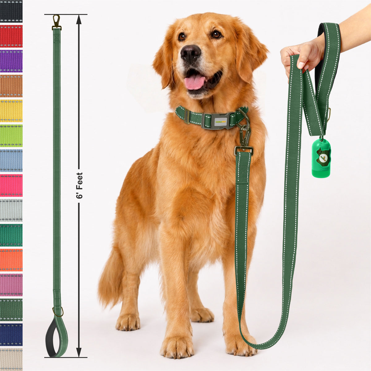 Olive Green Nylon Dog Leash