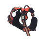 F Orange No Pull Dog Harness