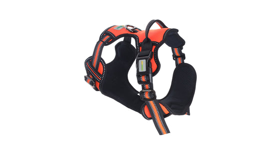 F Orange No Pull Dog Harness