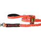 Orange Nylon Adjustable Bungee Dog Leash