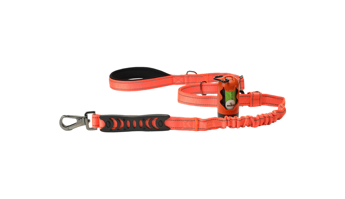 Orange Nylon Adjustable Bungee Dog Leash