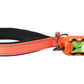 Orange Nylon Adjustable Bungee Dog Leash