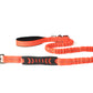 Orange Nylon Full Bungee Dog Leash