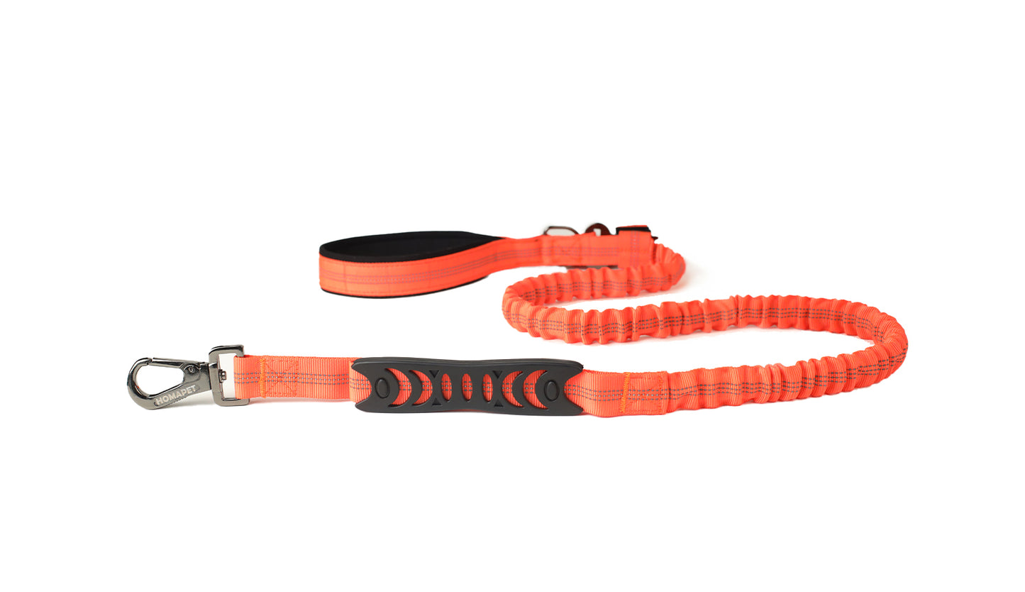 Orange Nylon Full Bungee Dog Leash