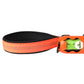 Orange Nylon Full Bungee Dog Leash