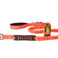 Orange Nylon Full Bungee Dog Leash