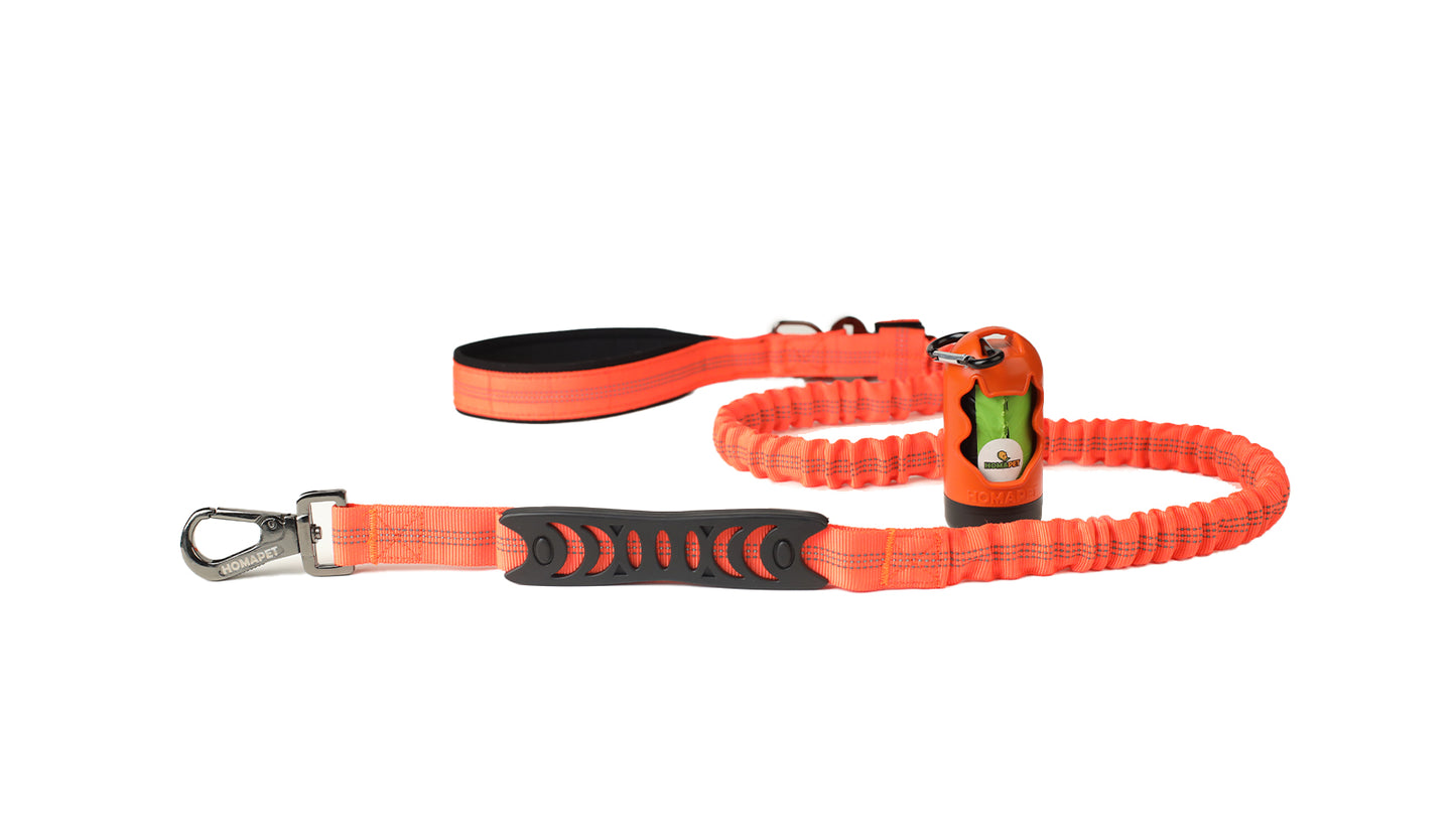 Orange Nylon Full Bungee Dog Leash