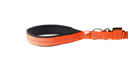 Orange Nylon Full Bungee Dog Leash