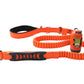 Orange Polyester Full Bungee Dog Leash