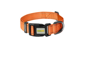 Orange Nylon Dog Collar