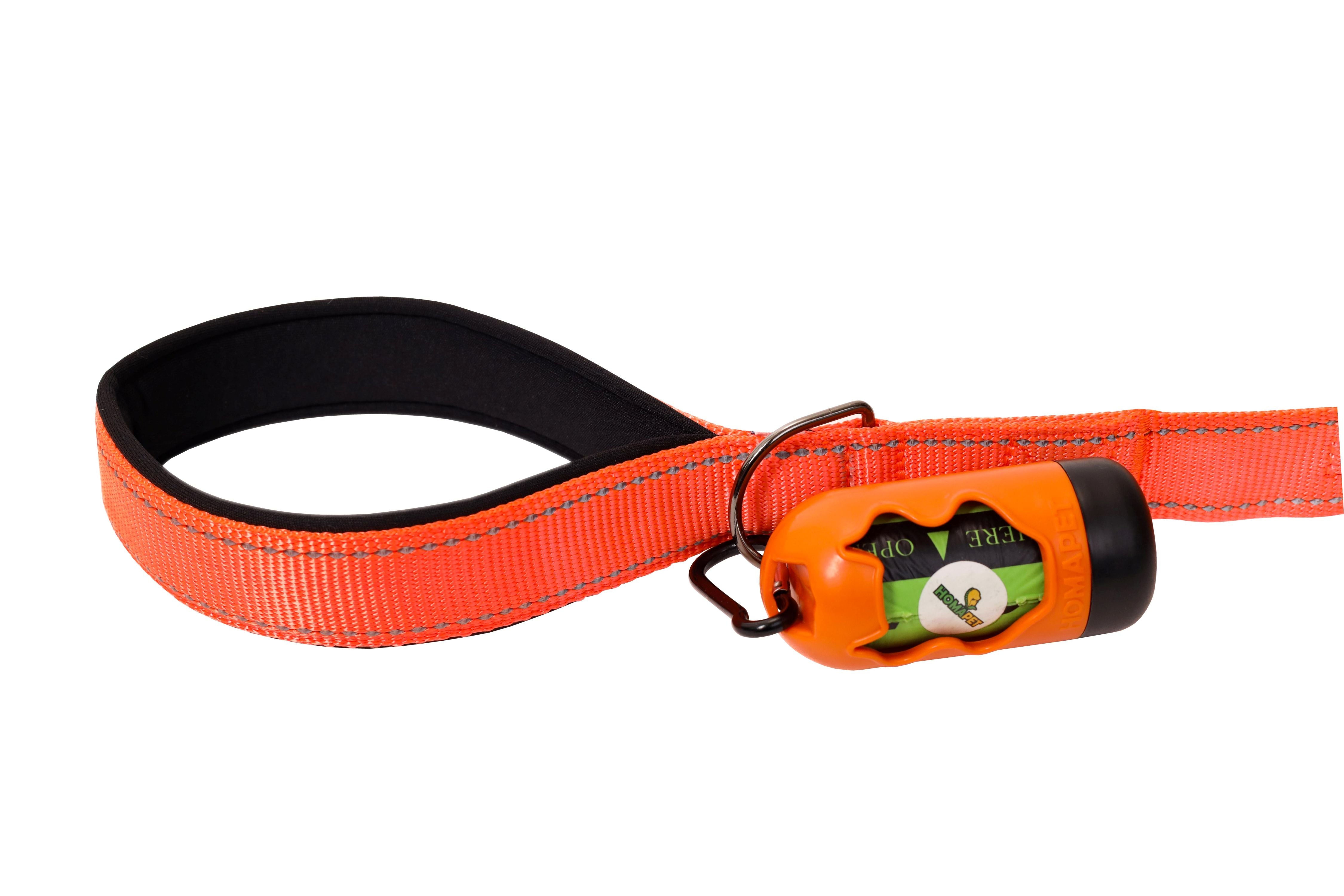 F Orange Nylon Dog Leash