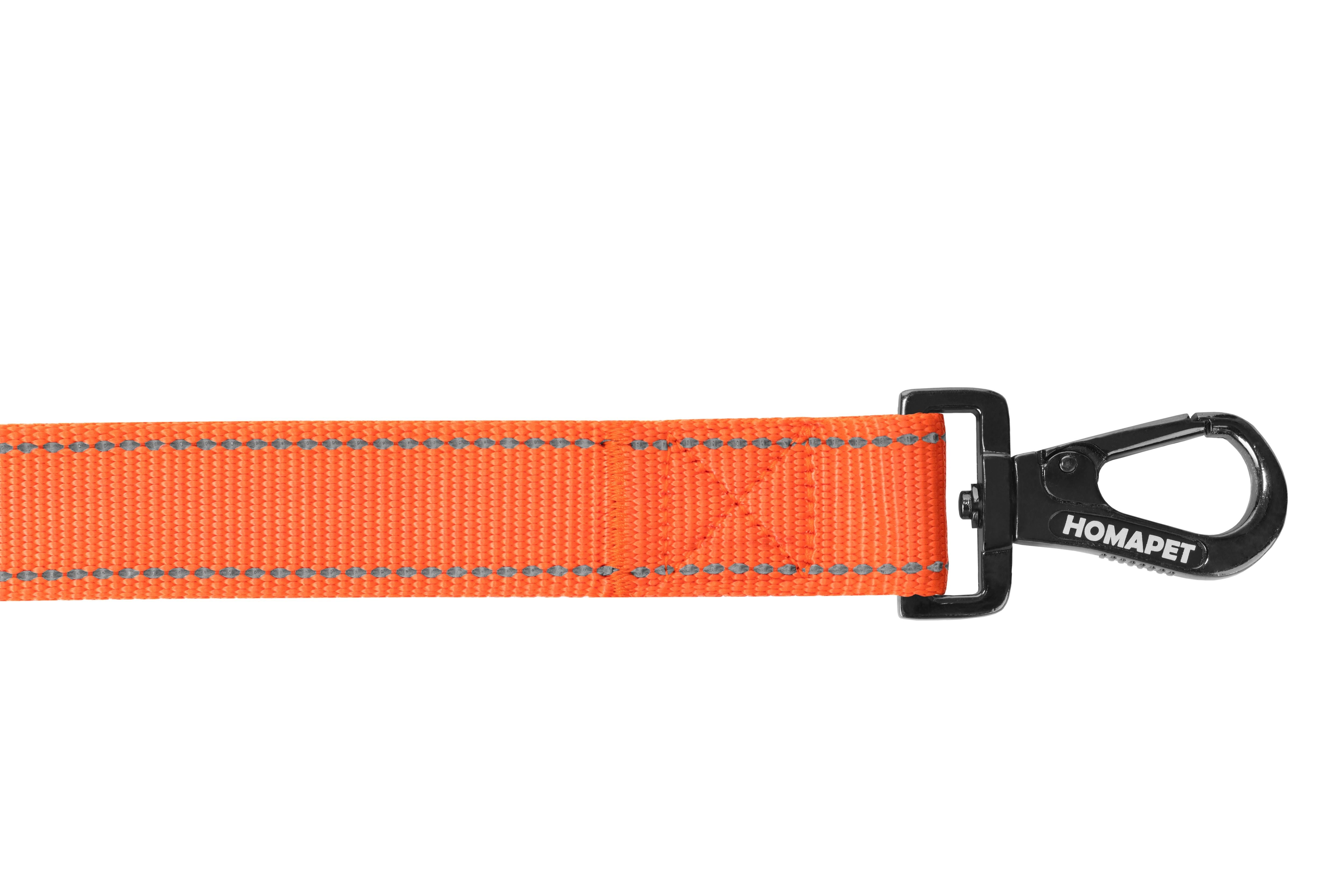 F Orange Nylon Dog Leash