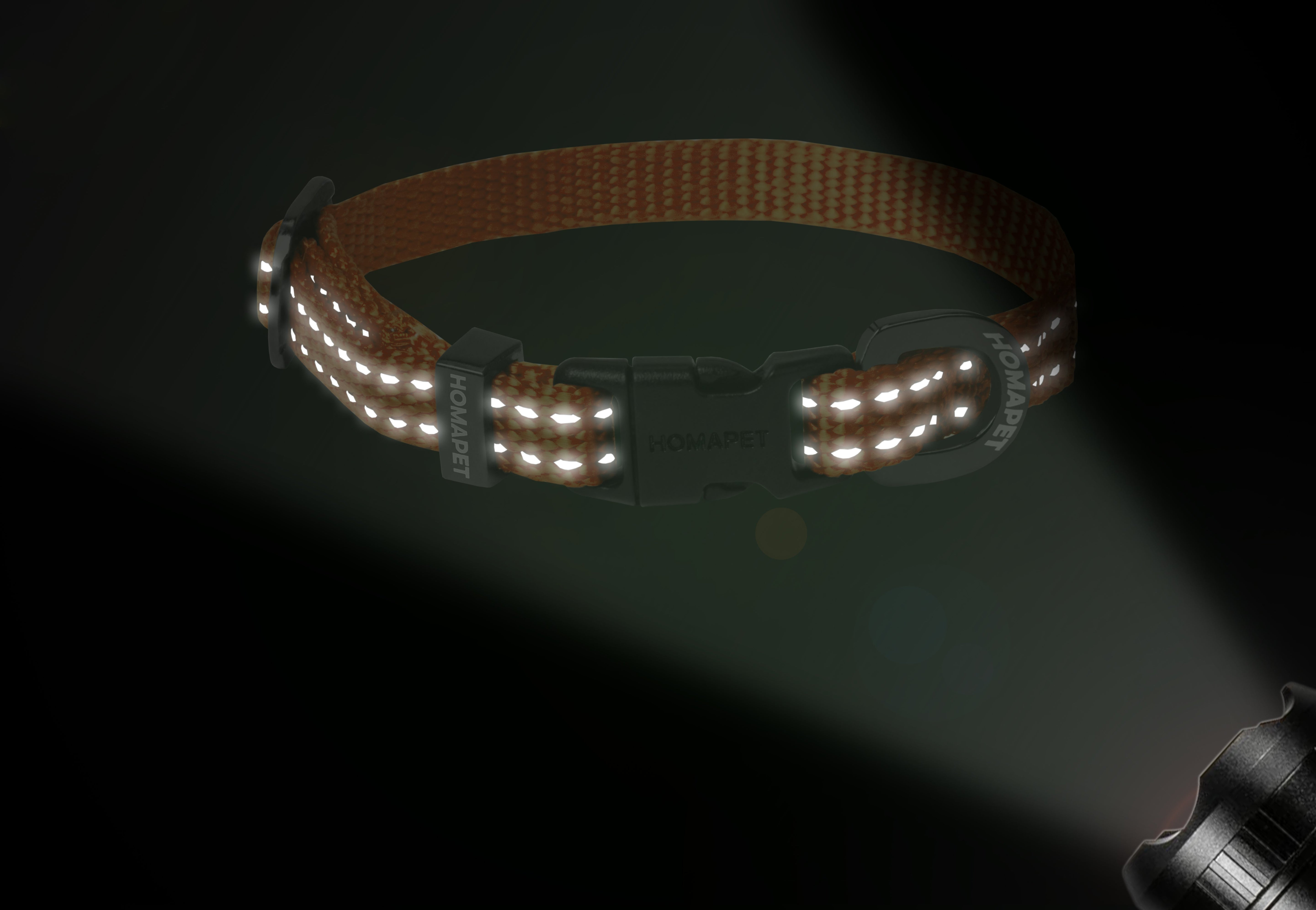 Orange Nylon Dog Collar XS