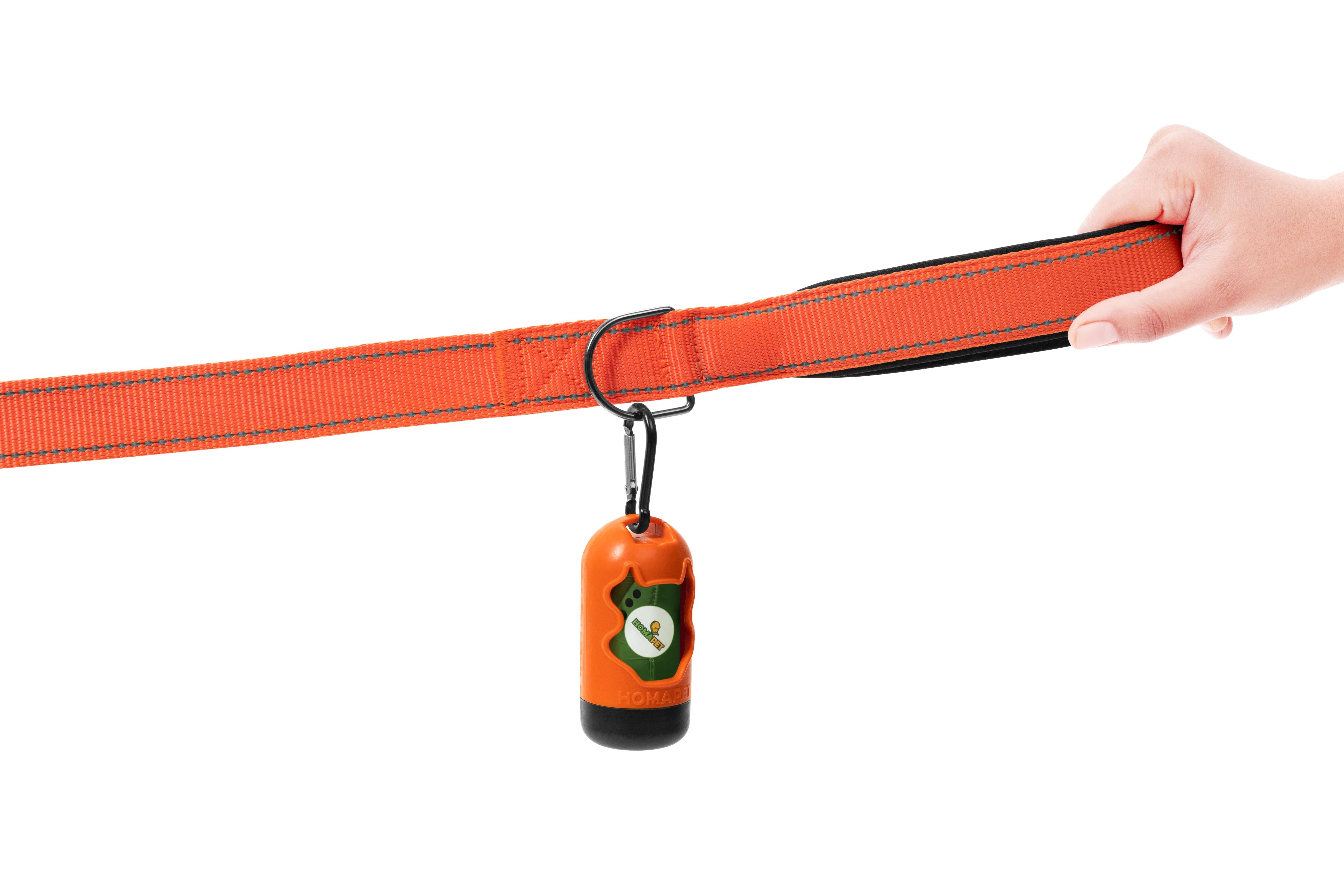 F Orange Nylon Dog Leash