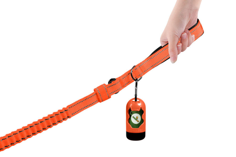 Orange Polyester Full Bungee Dog Leash