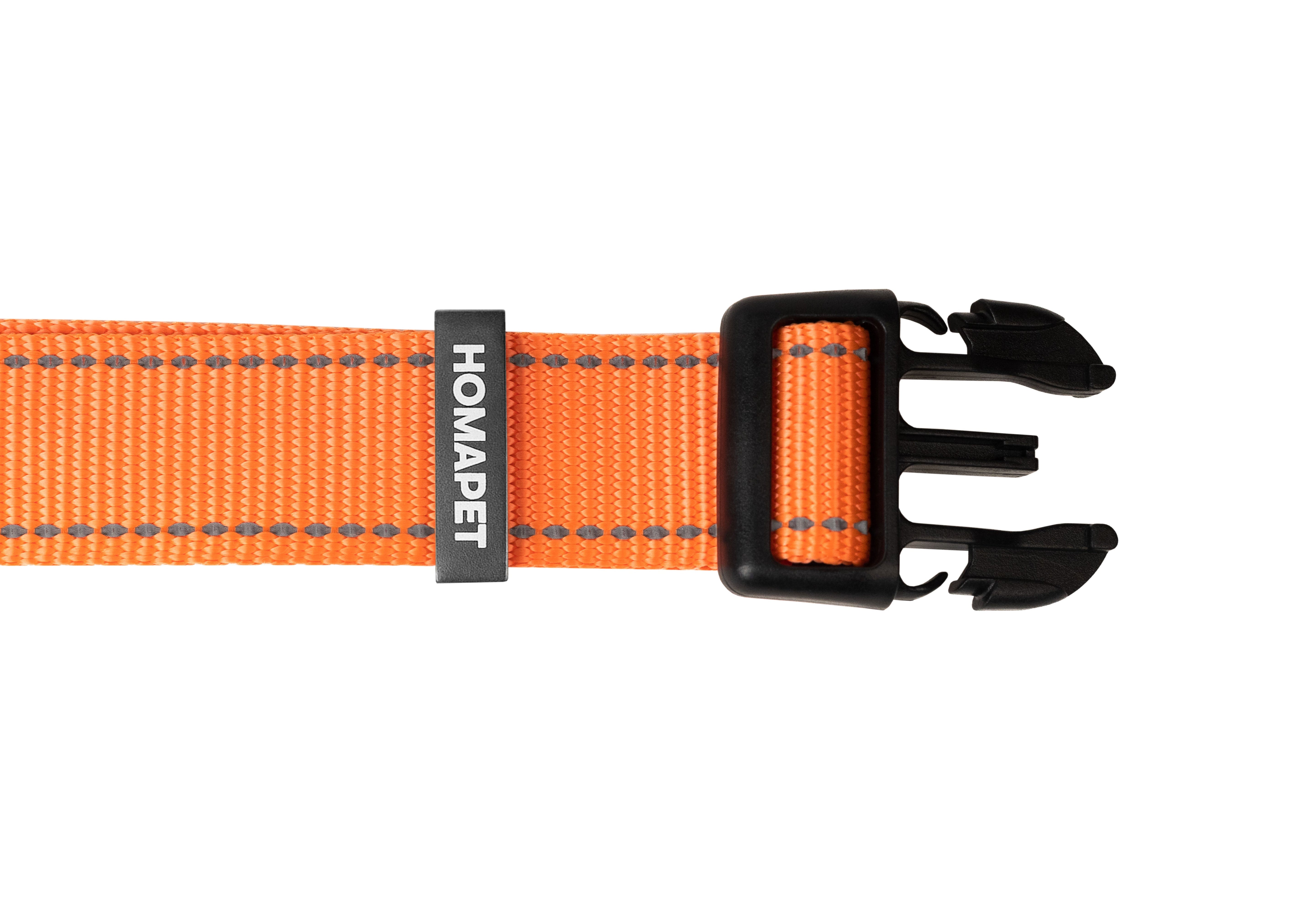 Orange Nylon Dog Collar