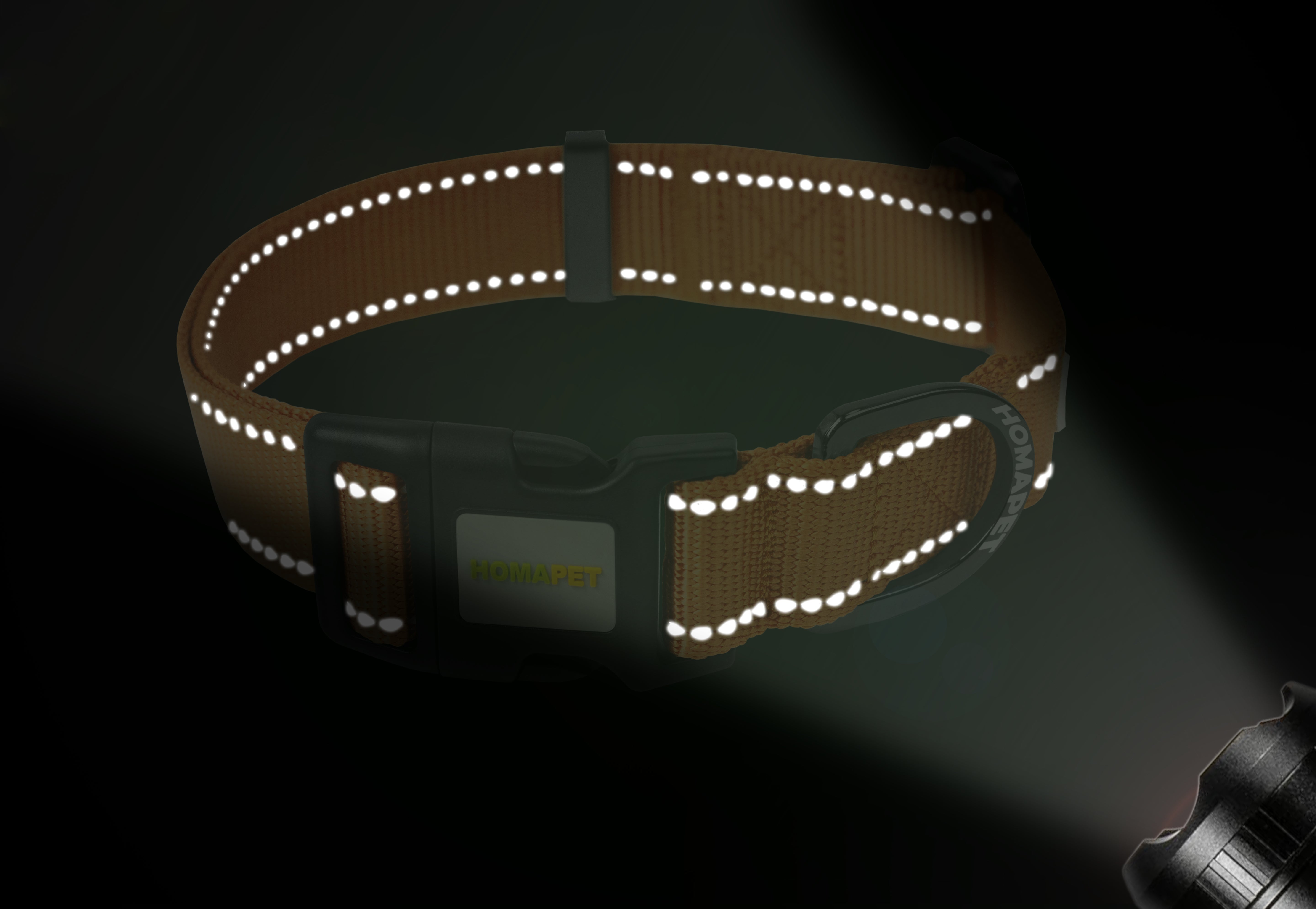 Orange Nylon Dog Collar