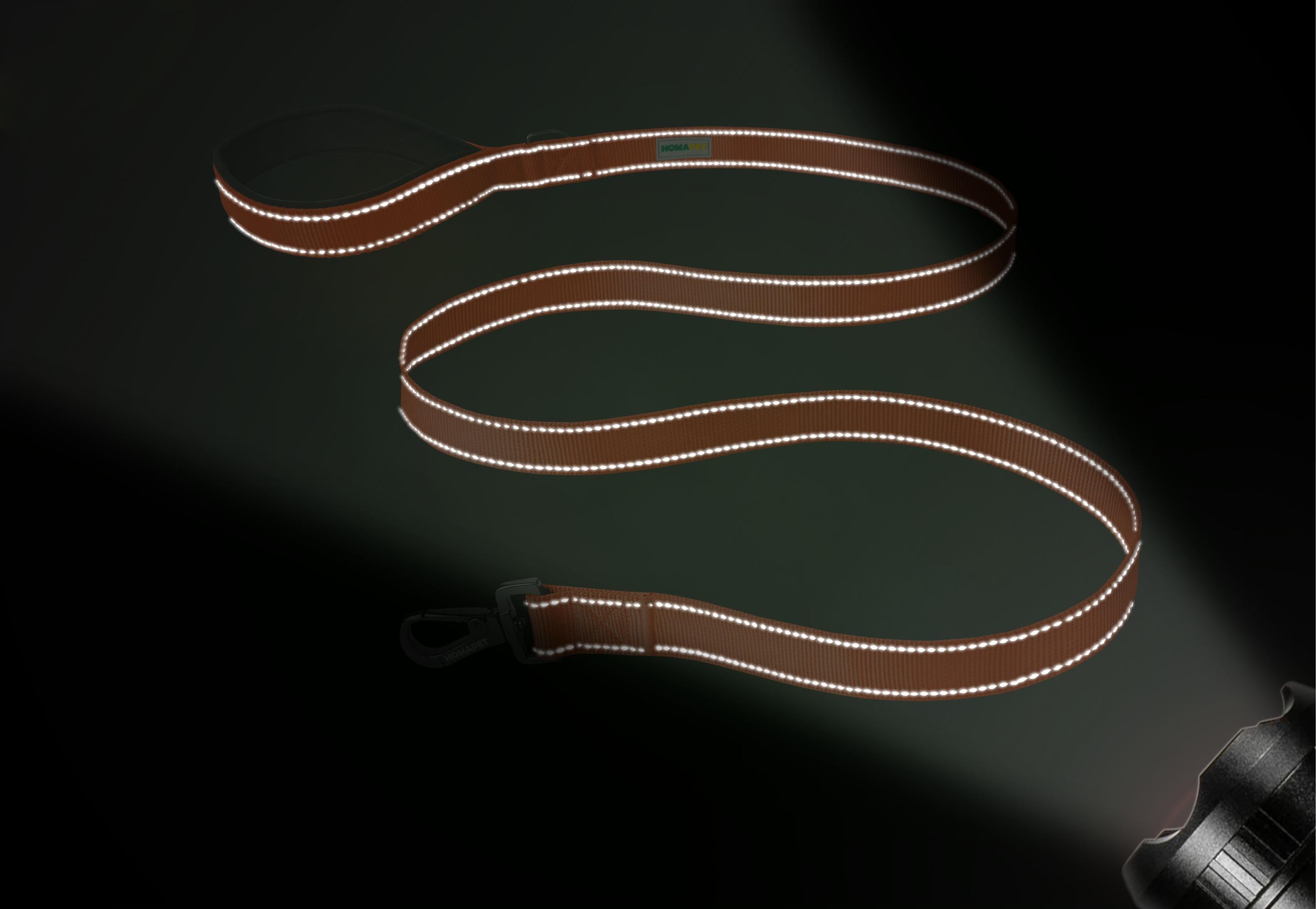 F Orange Nylon Dog Leash