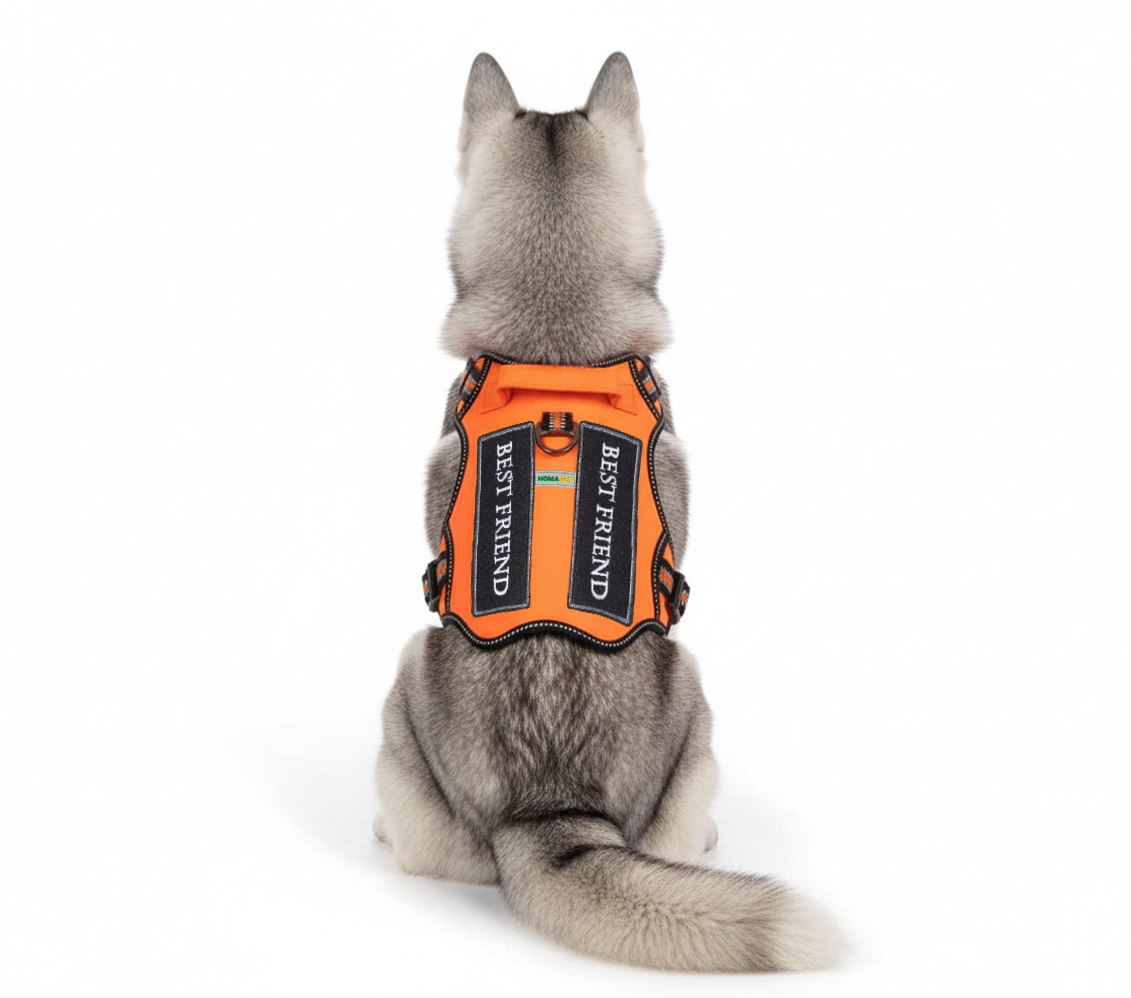 Orange_0dbb9e73-9bfd-4324-9b78