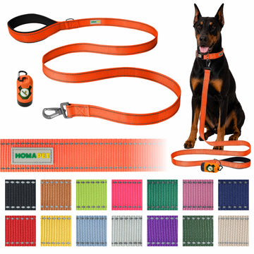 F Orange Nylon Dog Leash