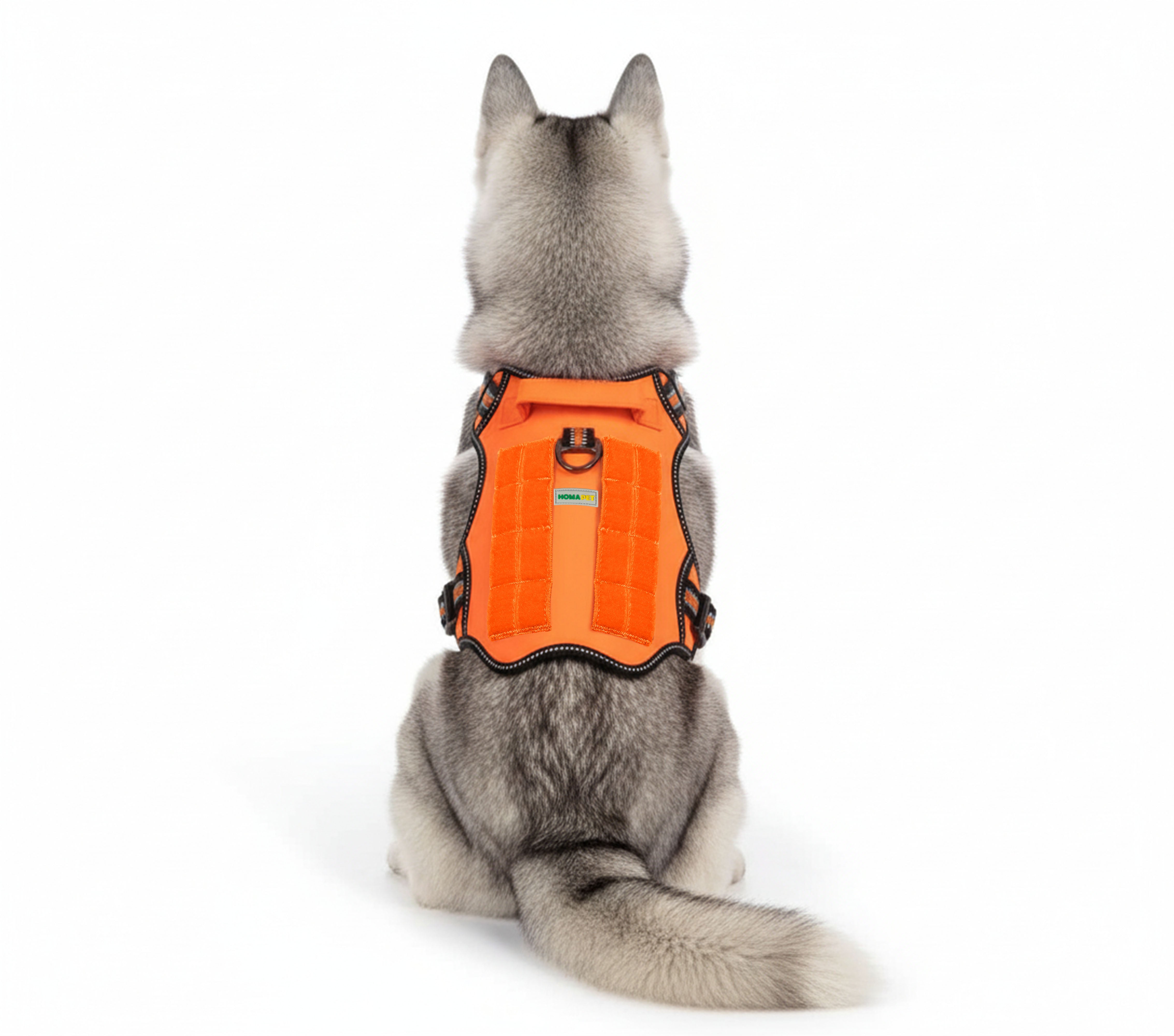Orange_4598eed2-5318-4811-8c9f