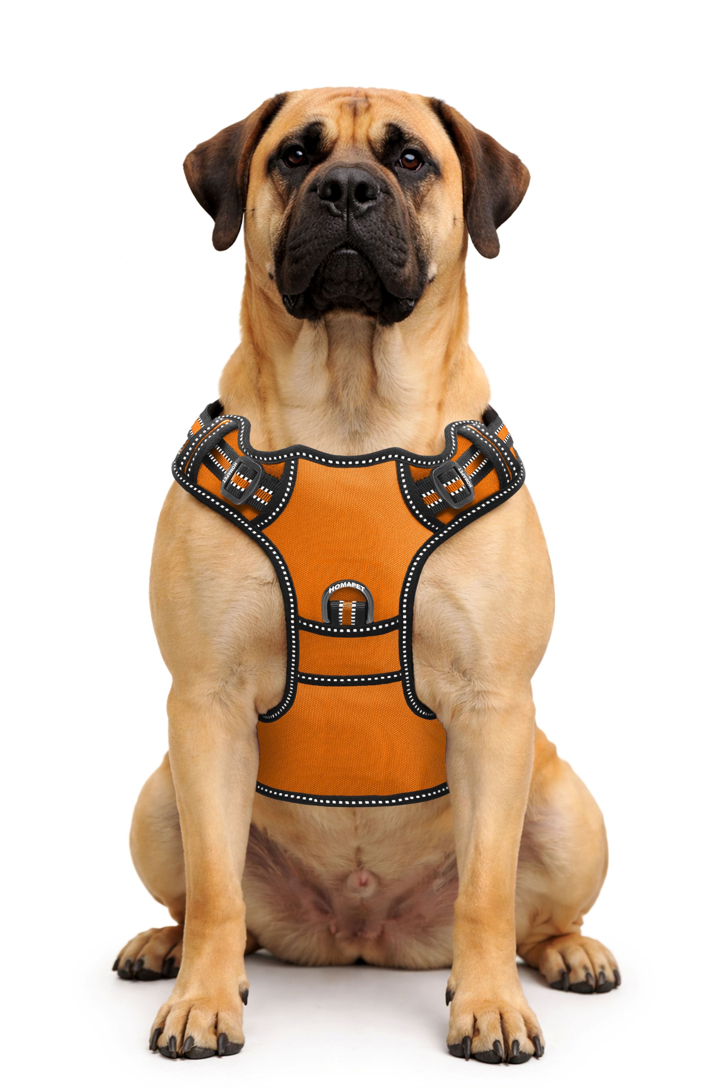 F Orange No Pull Dog Harness
