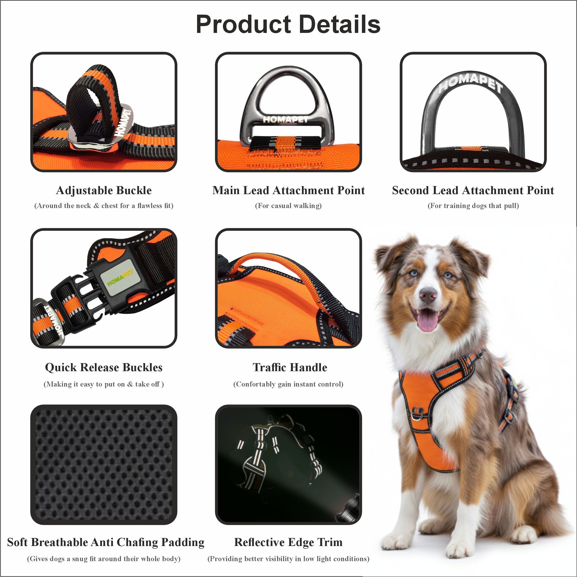 F Orange No Pull Dog Harness