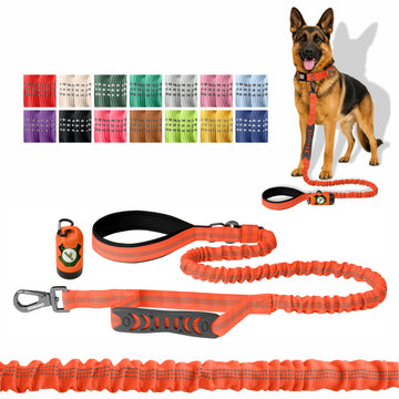 Orange Nylon Full Bungee Dog Leash