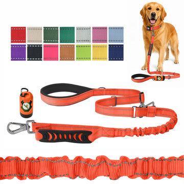 Orange Nylon Adjustable Bungee Dog Leash