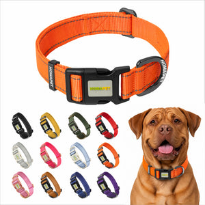 Orange Nylon Dog Collar