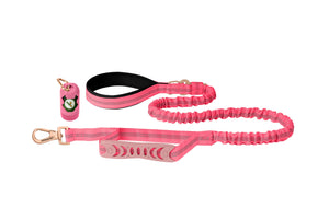 Pink Nylon Full Bungee Dog Leash