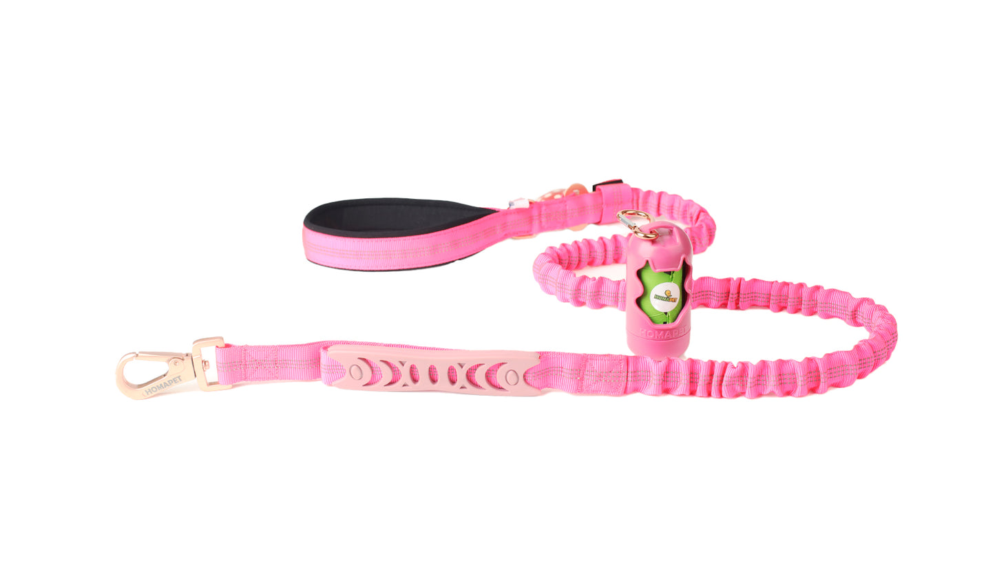 Pink Nylon Full Bungee Dog Leash