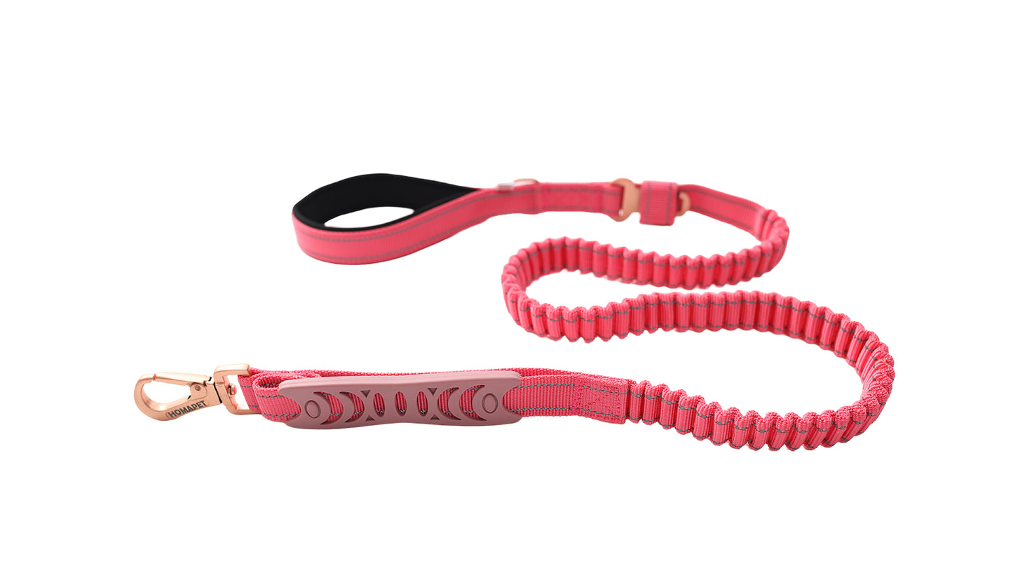 Pink Polyester Full Bungee Dog Leash